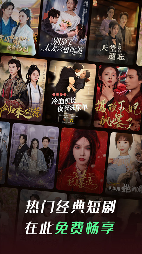 趴在复古书本上的布偶猫慵懒侧脸壁纸